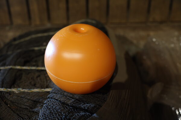 Testi1 - Image 5